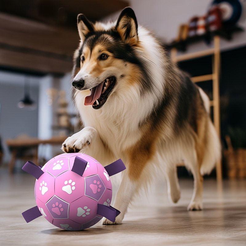 Durable Dog Soccer Ball Toy, 15cm Inflatable Soccer Ball, Teething and Entertainment Training Ball, Includes Pump - Pink Unique
