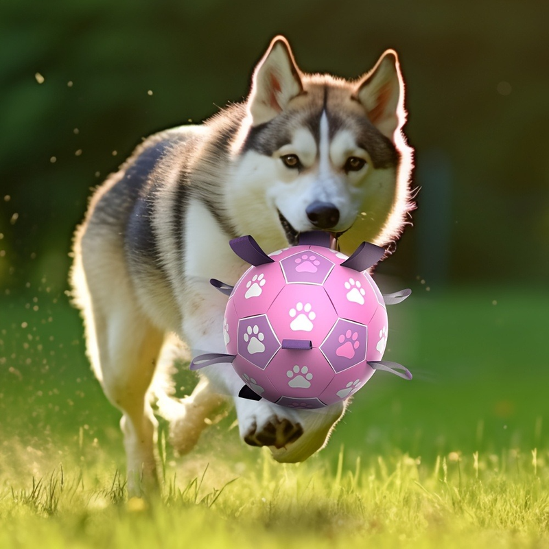 Durable Dog Soccer Ball Toy, 15cm Inflatable Soccer Ball, Teething and Entertainment Training Ball, Includes Pump - Pink Unique