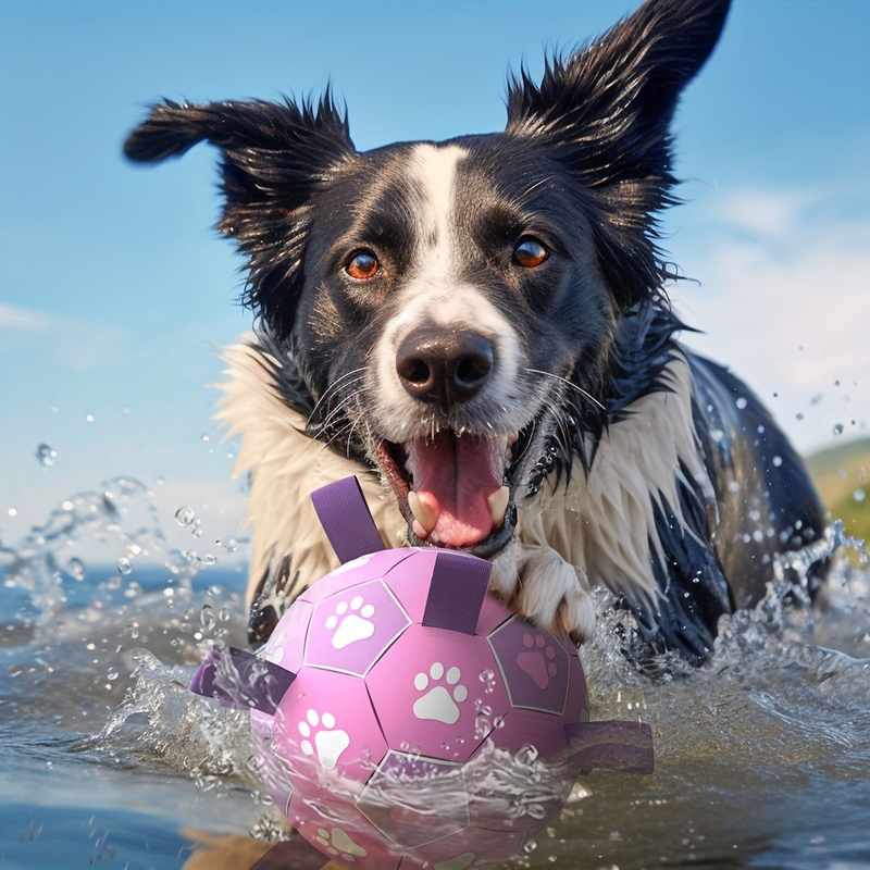 Durable Dog Soccer Ball Toy, 15cm Inflatable Soccer Ball, Teething and Entertainment Training Ball, Includes Pump - Pink Unique