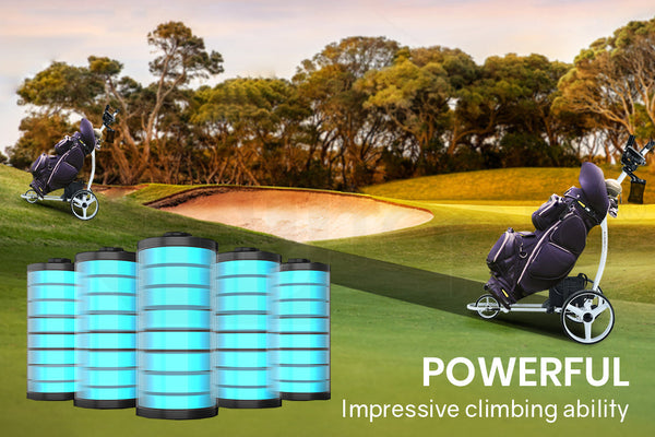 THOMSON 12V 24Ah Lithium Battery for Thomson Golf Buggy Trolley Does Not Apply