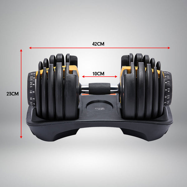 Powertrain 48kg  Adjustable Dumbbell Home Gym Set Gold Powertrain