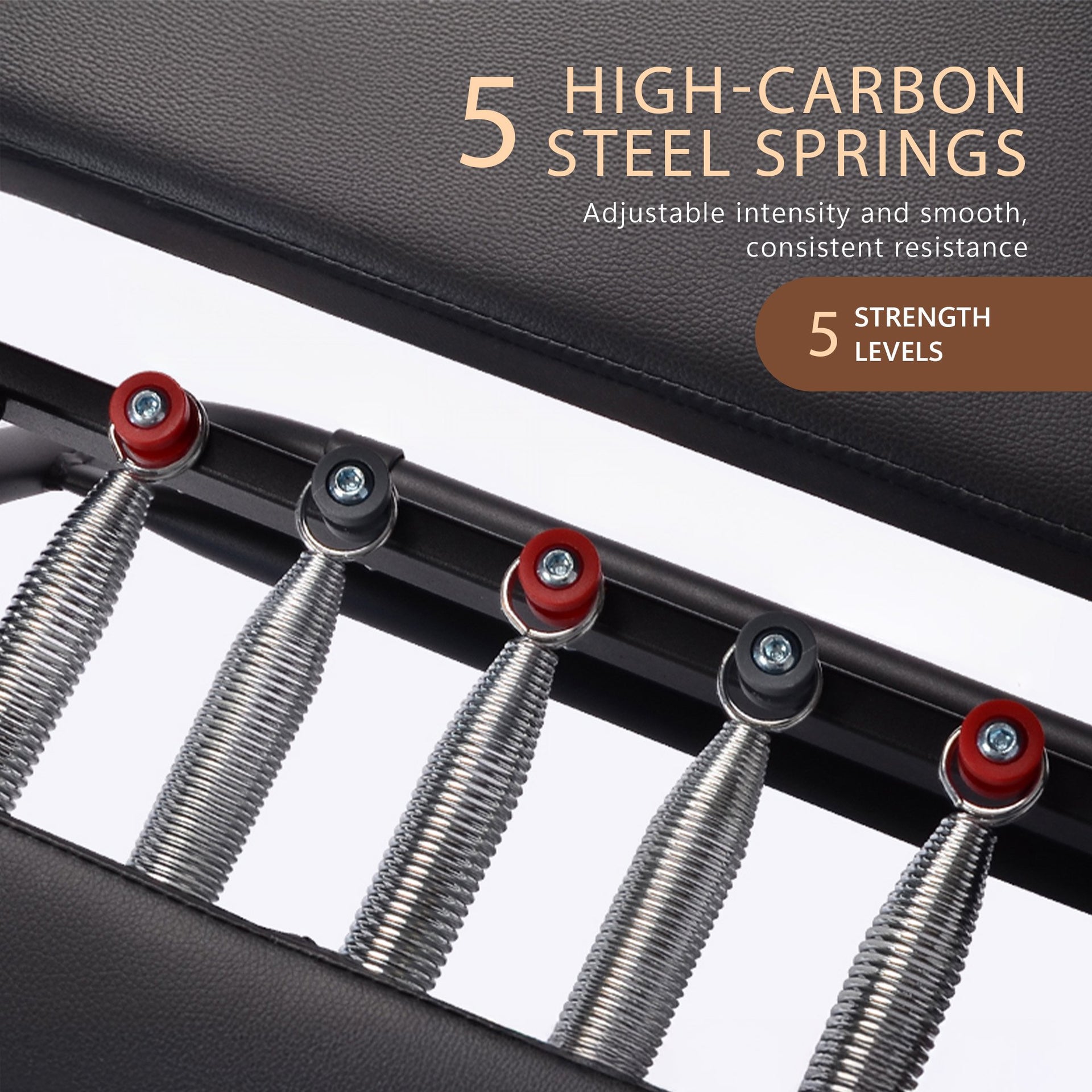 Powertrain Aria Steel Foldable Pilates Board Reformer Multifunctional Core Exercise Set Ab Trainer With Platform Extender Sitting Box Jumpboard And Footbar For Indoor Outdoor Full Body Fitness Home Awezingly