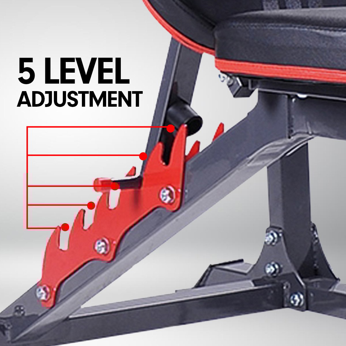 Powertrain Adjustable Weight Bench Home Gym Bench Press - 301 Powertrain
