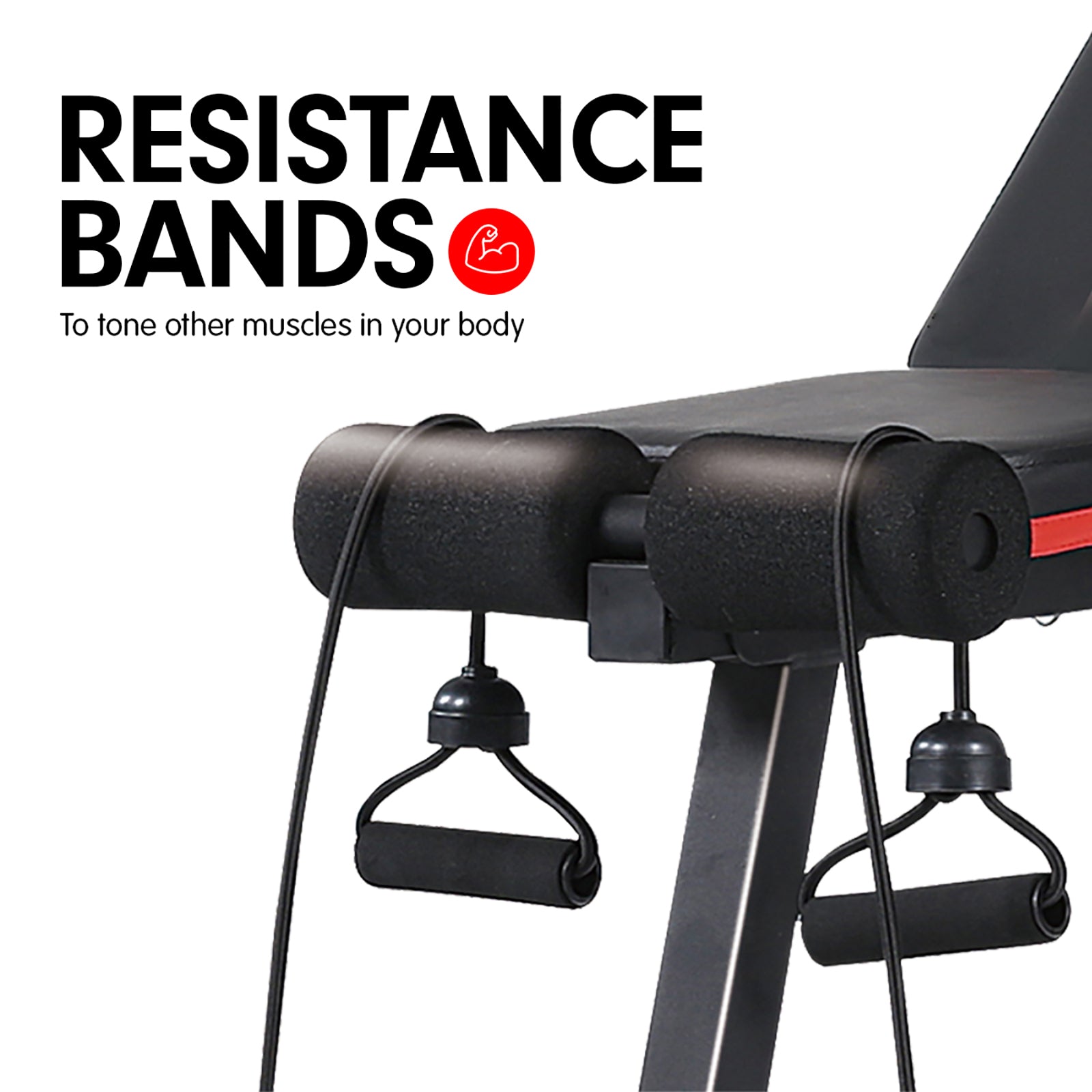 Powertrain Adjustable Incline Decline Exercise Bench Resistance Bands Powertrain