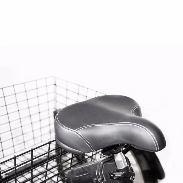 Progear Bikes E-Free Electric Trike with Walk Mode 24