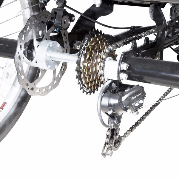 Progear Bikes E-Free Electric Trike with Walk Mode 24