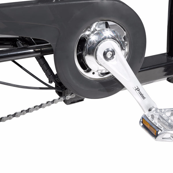 Progear Bikes E-Free Electric Trike with Walk Mode 24