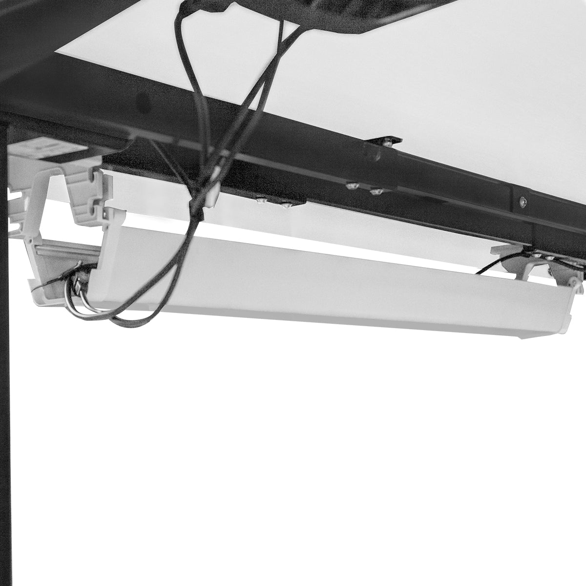 WalkingPad C2 Treadmill + ErgoDesk Automatic Standing Desk 1500mm in White/Black + Cable Management Tray Awezingly