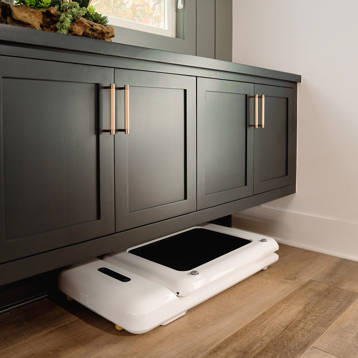 WalkingPad C2 Compact Folding Treadmill in White Awezingly