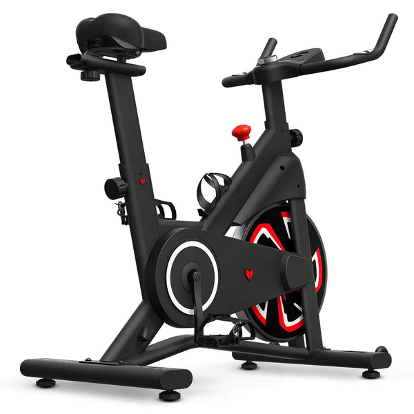 Lifespan Fitness SM-120 Spin Bike with Automatic Magnetic Resistance Awezingly
