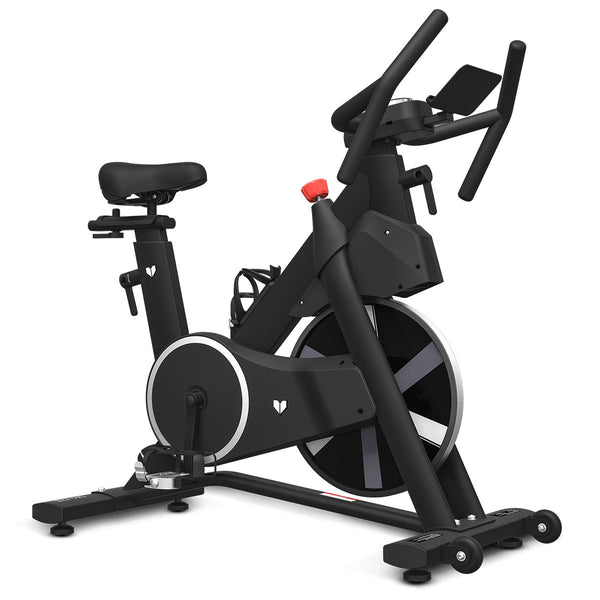Lifespan Fitness SM-420 Spin Bike with Automatic Magnetic Resistance Lifespan
