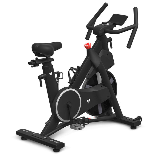 Lifespan Fitness SM-420 Spin Bike with Automatic Magnetic Resistance Lifespan