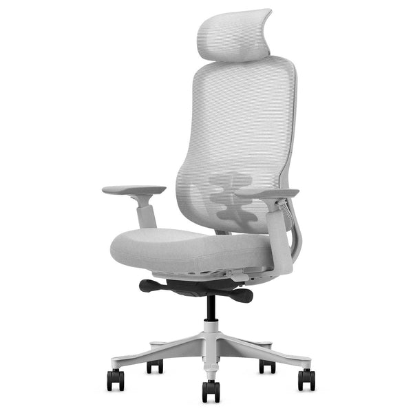 Lifespan Fitness DM8 Ergonomic Office Desk Chair (White/Grey) Awezingly
