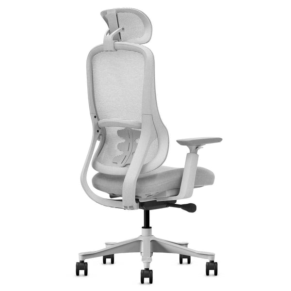 Lifespan Fitness DM8 Ergonomic Office Desk Chair (White/Grey) Awezingly