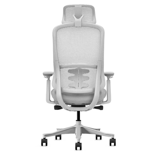 Lifespan Fitness DM8 Ergonomic Office Desk Chair (White/Grey) Awezingly