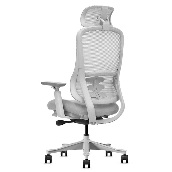 Lifespan Fitness DM8 Ergonomic Office Desk Chair (White/Grey) Awezingly