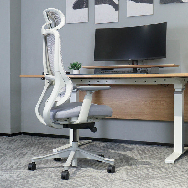 Lifespan Fitness DM8 Ergonomic Office Desk Chair (White/Grey) Awezingly