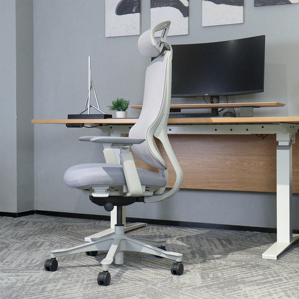Lifespan Fitness DM8 Ergonomic Office Desk Chair (White/Grey) Awezingly