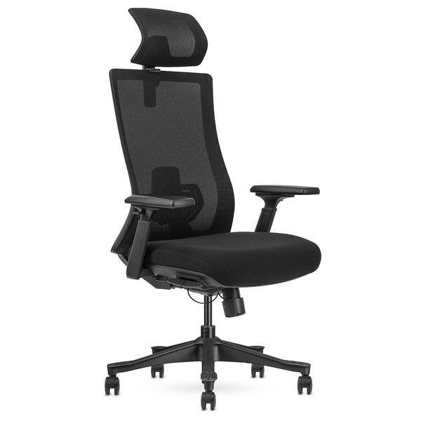 Lifespan Fitness DM9 Ergonomic Mesh High Back Office Chair Lifespan