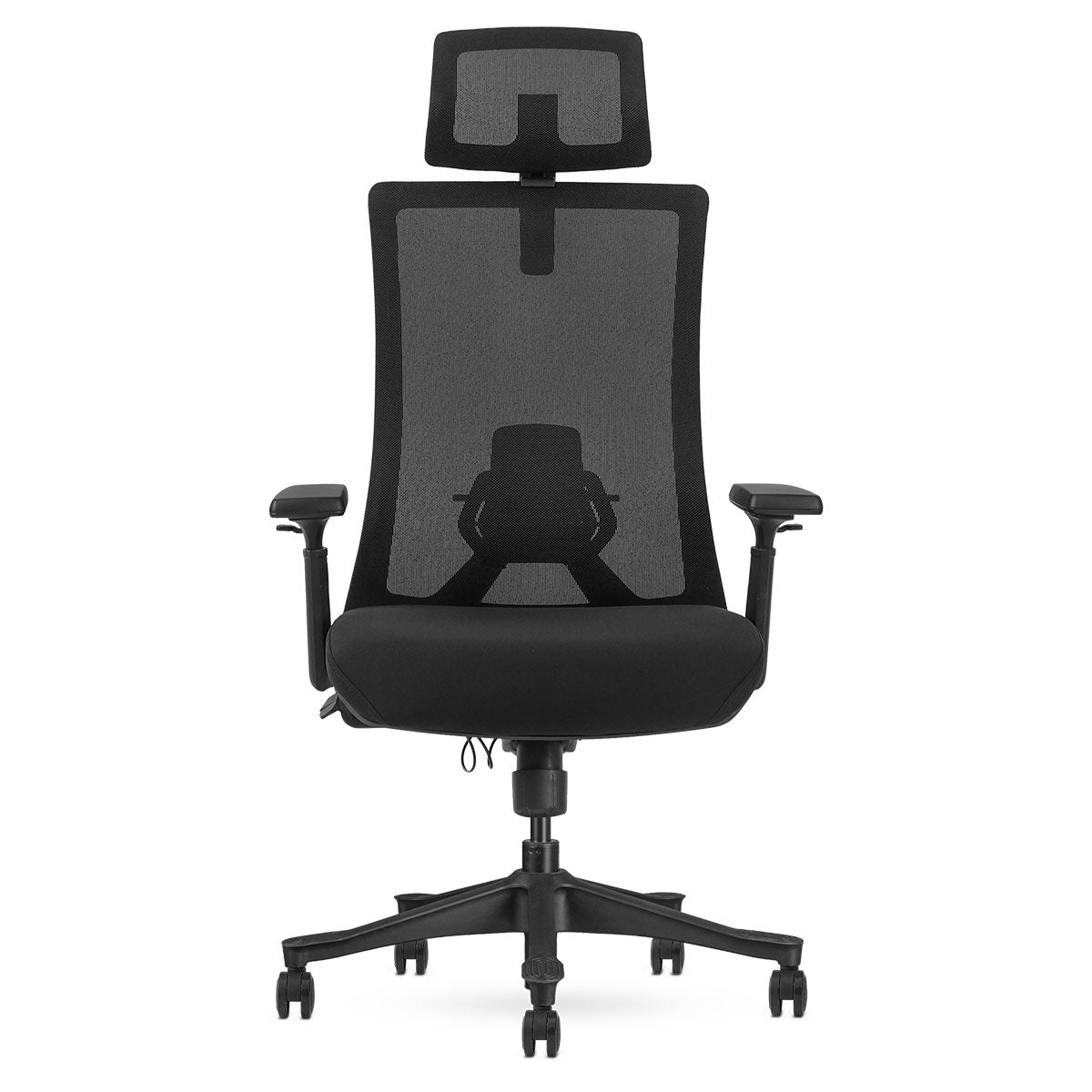 Lifespan Fitness DM9 Ergonomic Mesh High Back Office Chair Lifespan