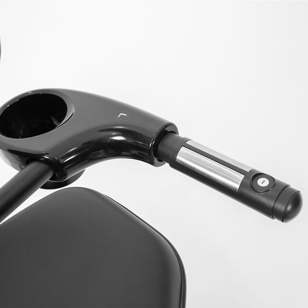 Lifespan Fitness RBX-110 Commercial Recumbent Bike Awezingly