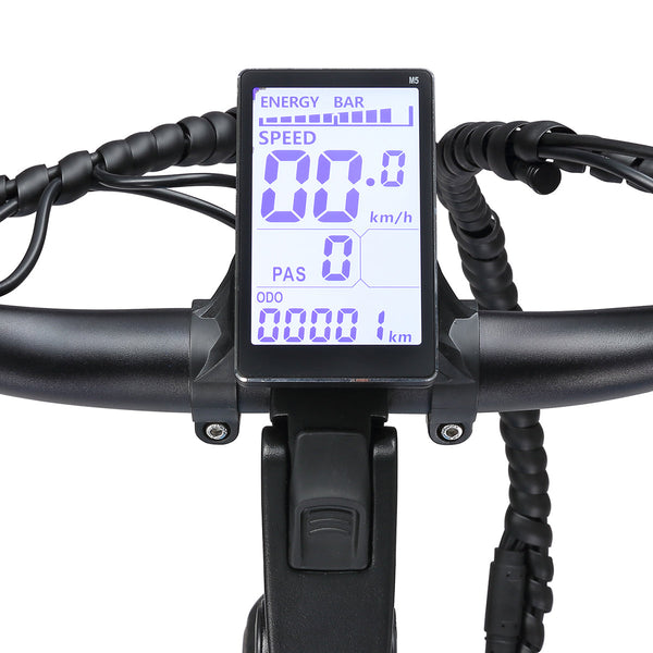 Progear E-Moover Cargo Bike - Electric Blue Awezingly