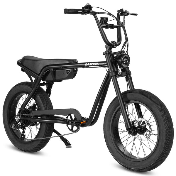 Progear E-Raptor 20