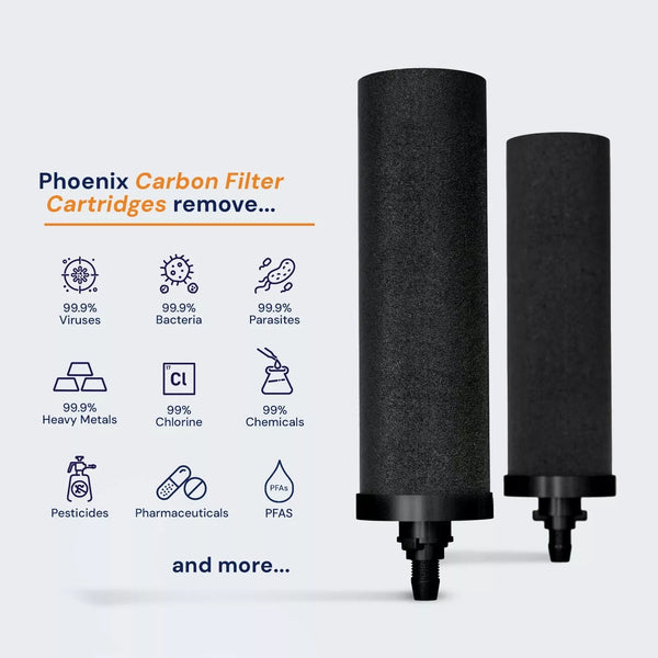 Phoenix Stainless Steel 8L with Smart Carbon Filter Awezingly