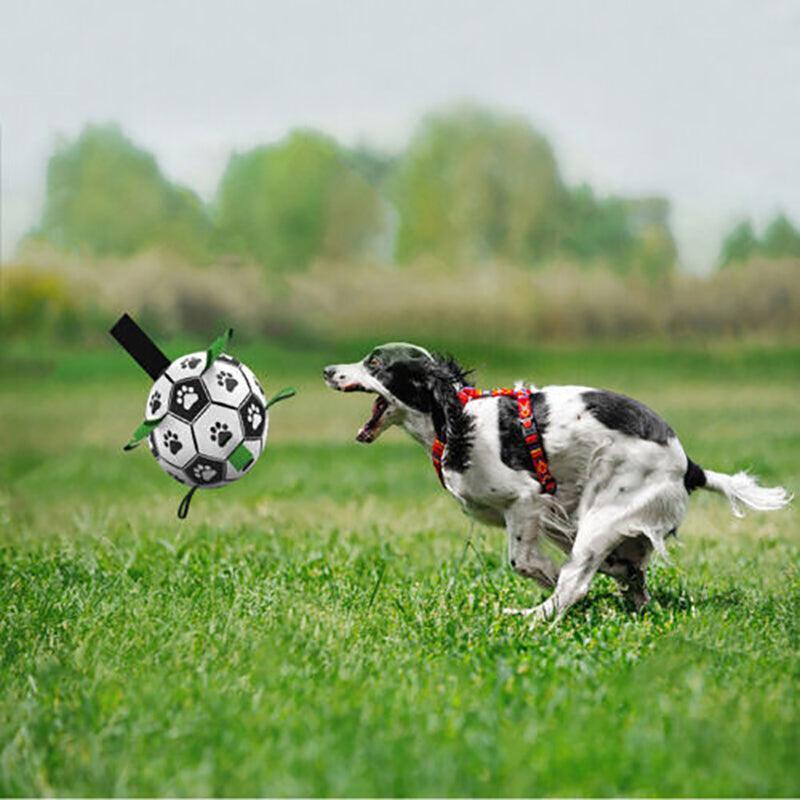 Interactive Pet Football Dog Toys Grab Tabs Outdoor Training Soccer Chew Balls Unique