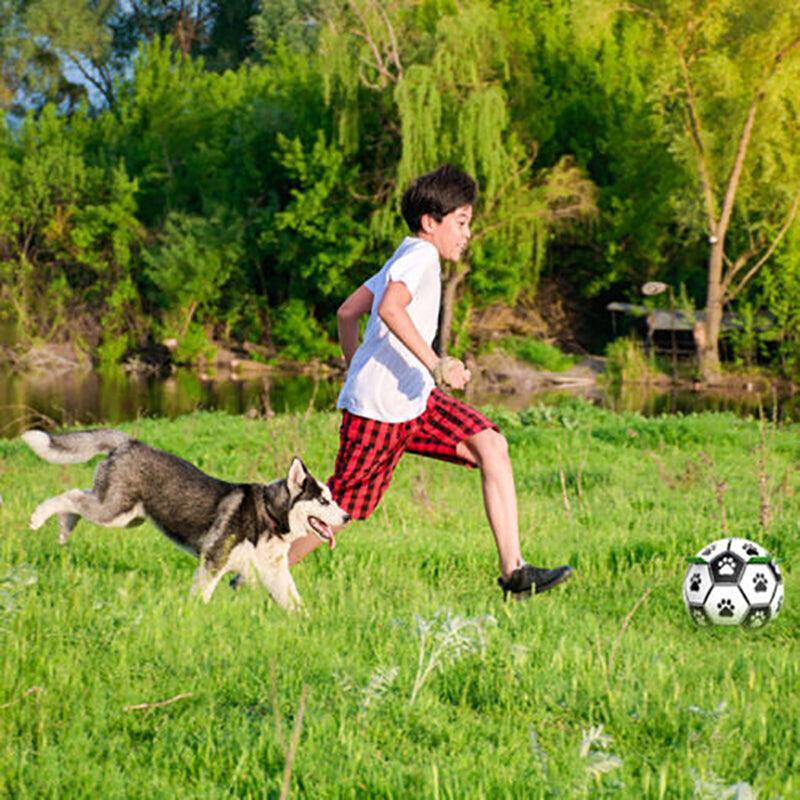 Interactive Pet Football Dog Toys Grab Tabs Outdoor Training Soccer Chew Balls Unique
