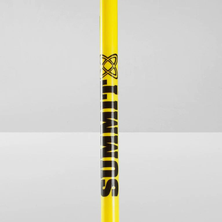 10x Agility Slalom Training Poles with Spike Base Unique
