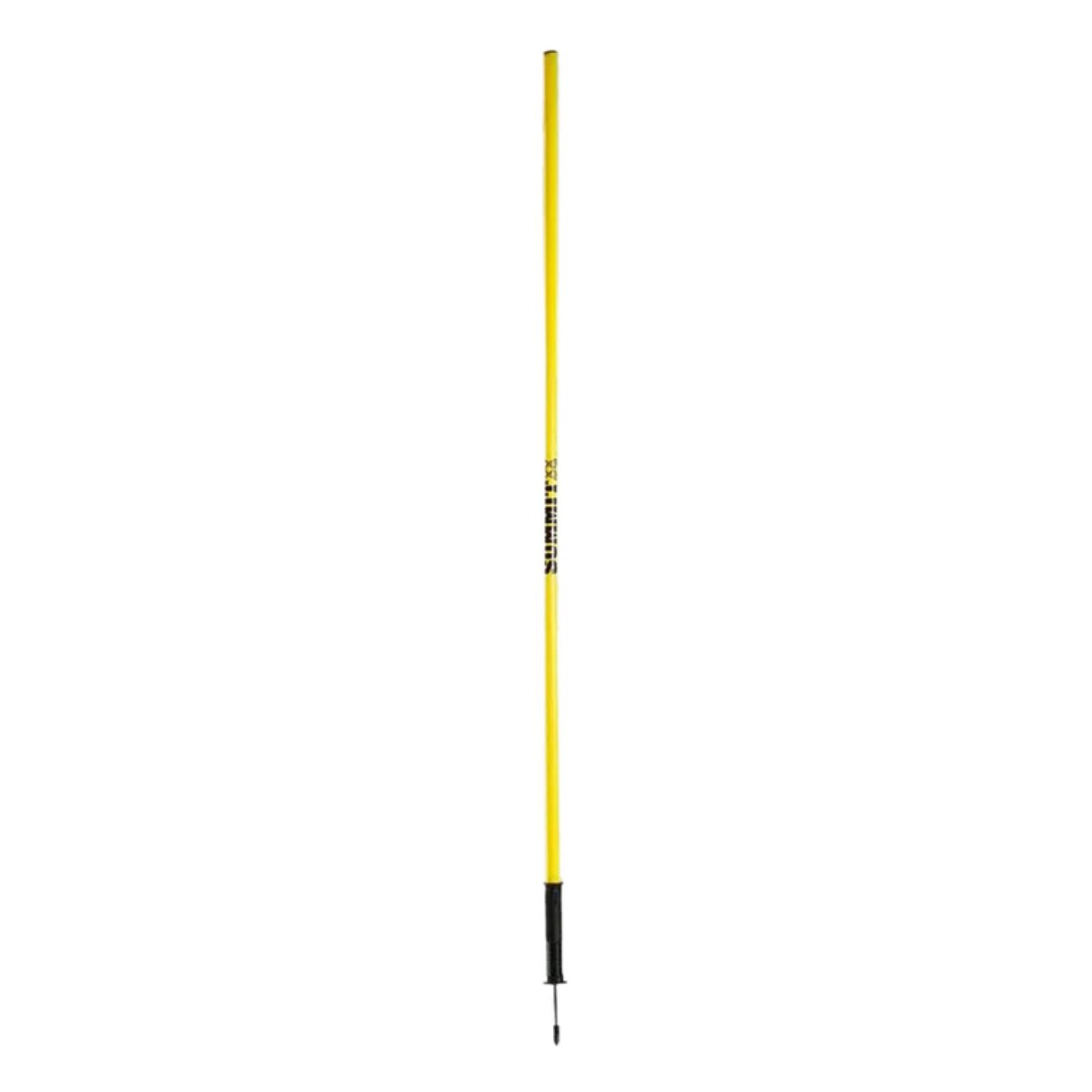 10x Agility Slalom Training Poles with Spike Base Unique
