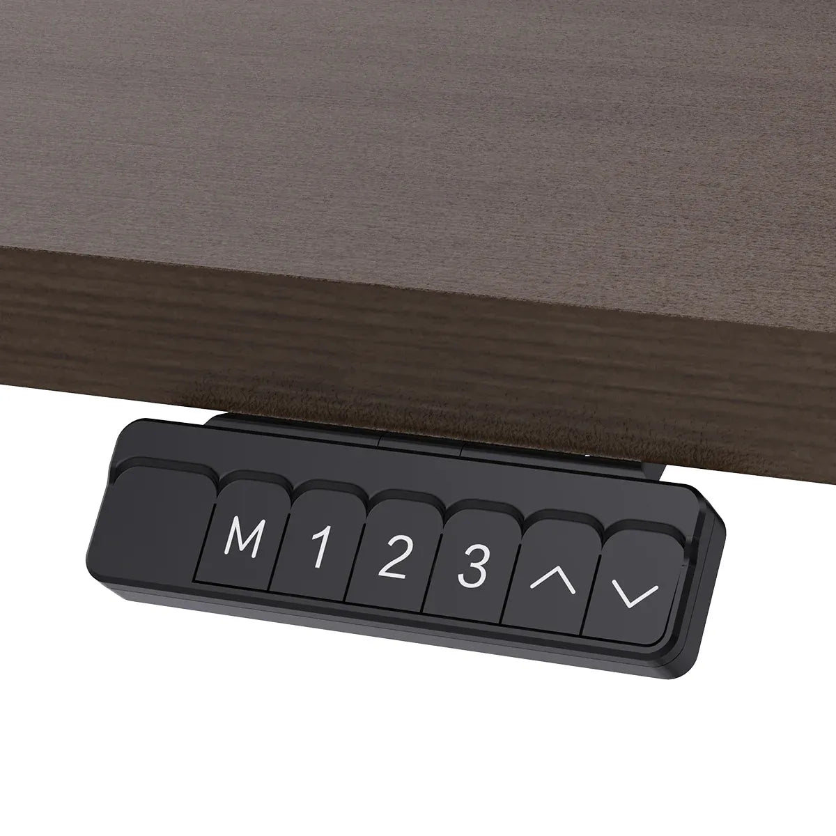Lifespan Fitness ErgoDesk Electric Standing Desk 140cm (Walnut/Black) Awezingly