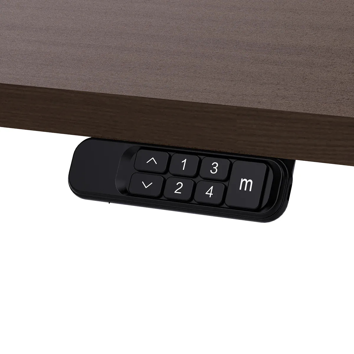 Lifespan Fitness ErgoDesk Electric Standing Desk 160cm (Walnut/Black) Awezingly