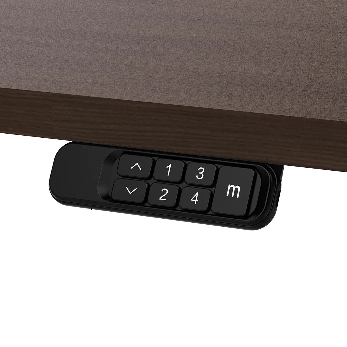 Lifespan Fitness ErgoDesk Electric Standing Desk 180cm (Walnut/Black) Awezingly