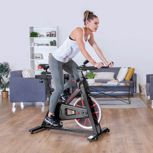 Lifespan Fitness SP-310 M2  Lifespan Fitness Spin Bike Awezingly