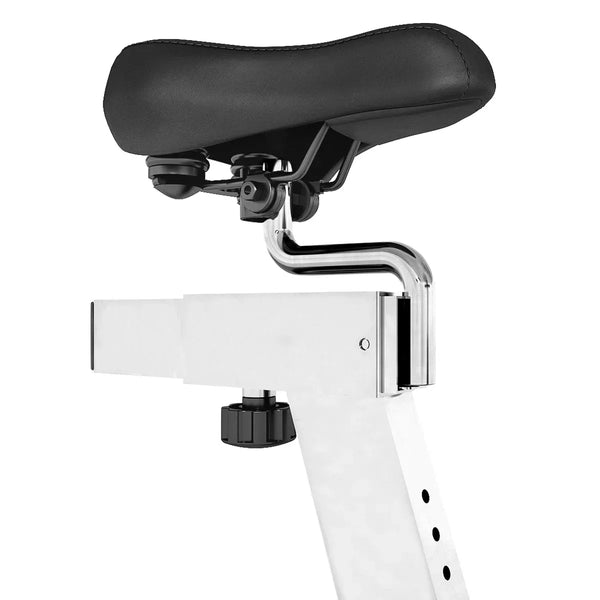 Lifespan Fitness SP-460 M2 Lifespan Fitness Spin Bike Awezingly