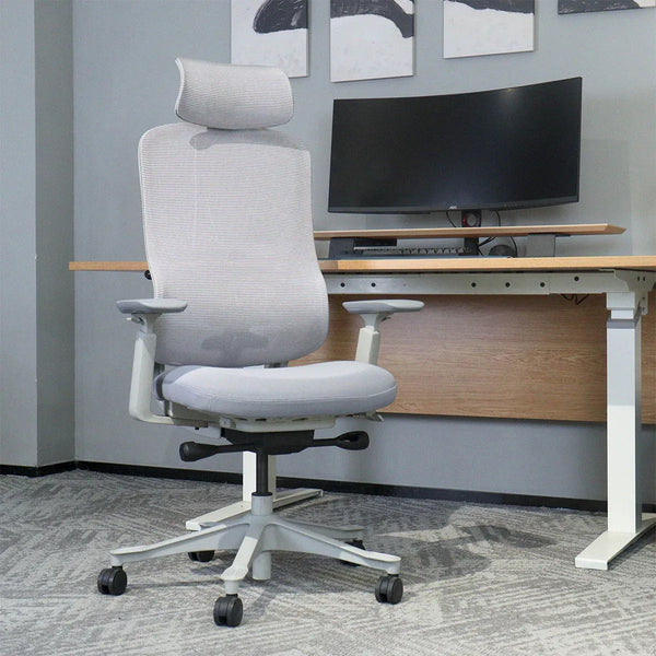 Lifespan Fitness DM8 Ergonomic Office Desk Chair (White/Grey) Awezingly