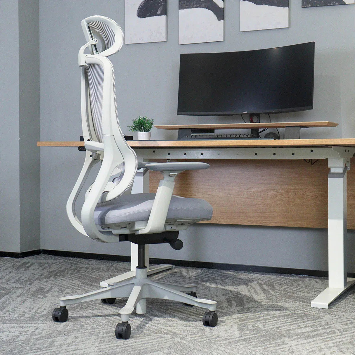 Lifespan Fitness DM8 Ergonomic Office Desk Chair (White/Grey) Awezingly