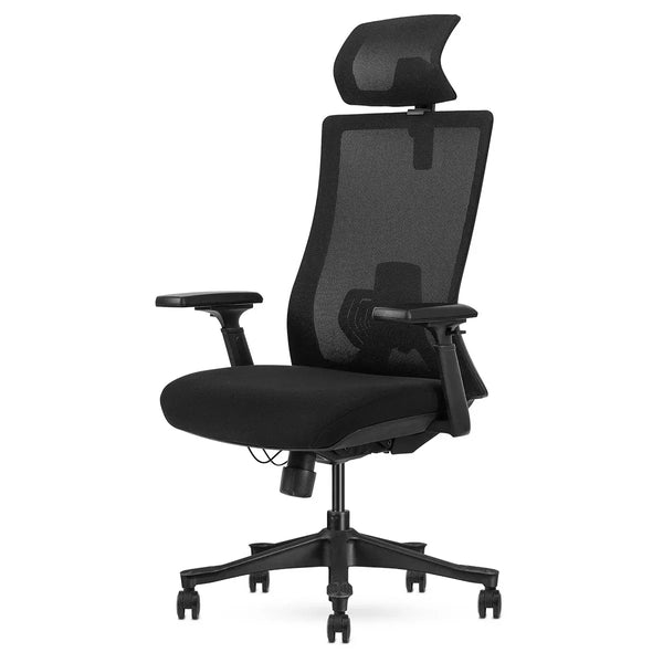 Lifespan Fitness DM9 Ergonomic Mesh High Back Office Chair Awezingly