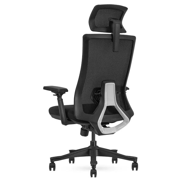 Lifespan Fitness DM9 Ergonomic Mesh High Back Office Chair Awezingly