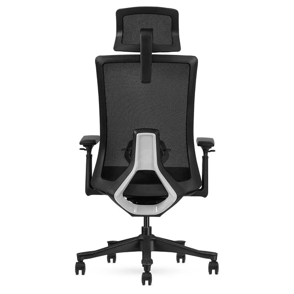 Lifespan Fitness DM9 Ergonomic Mesh High Back Office Chair Awezingly