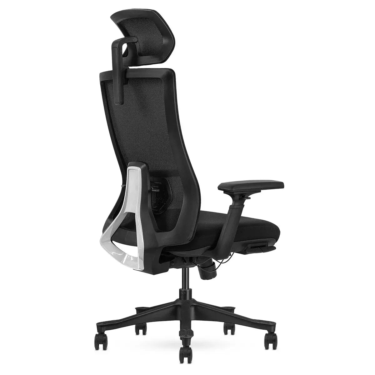 Lifespan Fitness DM9 Ergonomic Mesh High Back Office Chair Awezingly