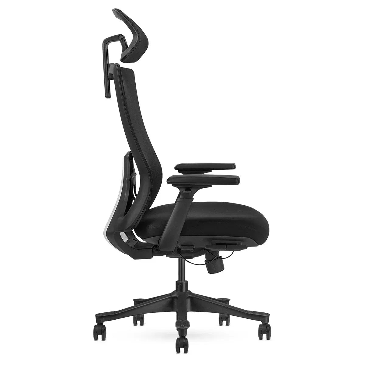 Lifespan Fitness DM9 Ergonomic Mesh High Back Office Chair Awezingly