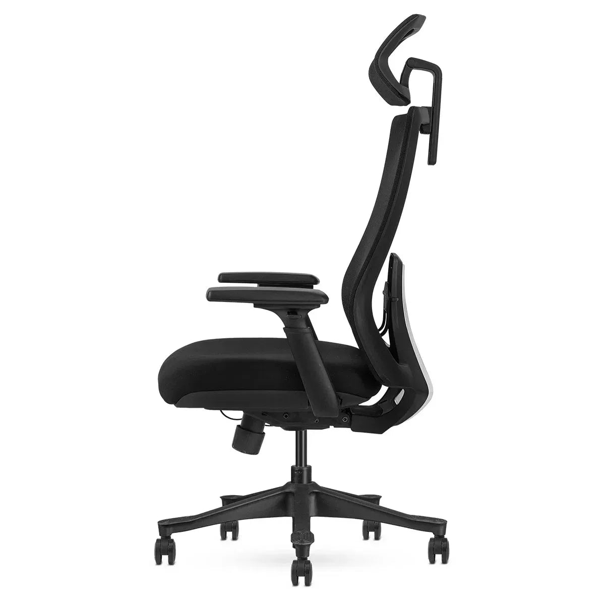 Lifespan Fitness DM9 Ergonomic Mesh High Back Office Chair Awezingly