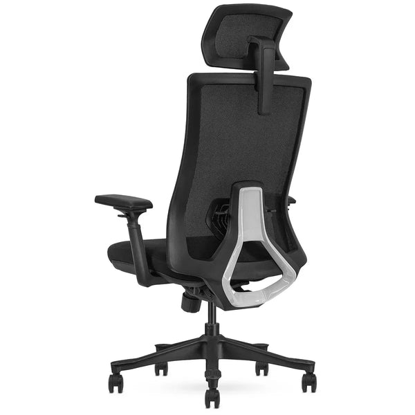 Lifespan Fitness WalkingPad M2 + ErgoDesk 1500mm White + Cable Management + DM9 Chair Awezingly