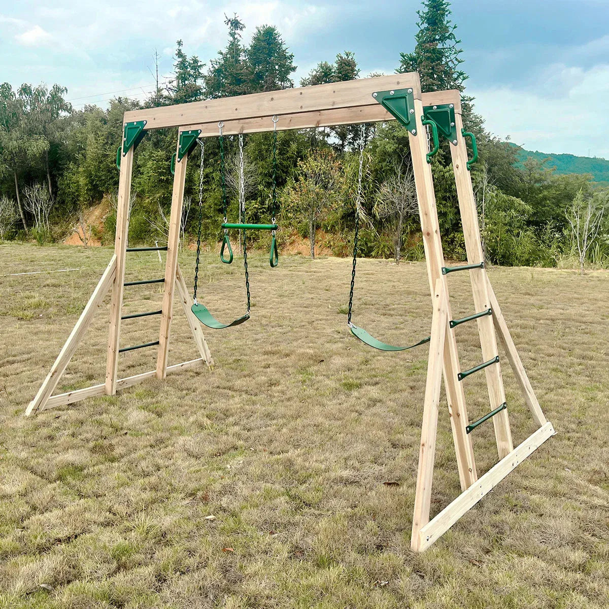 Lifespan Kids Daintree 2-in-1 Monkey Bars & Swing Set Awezingly