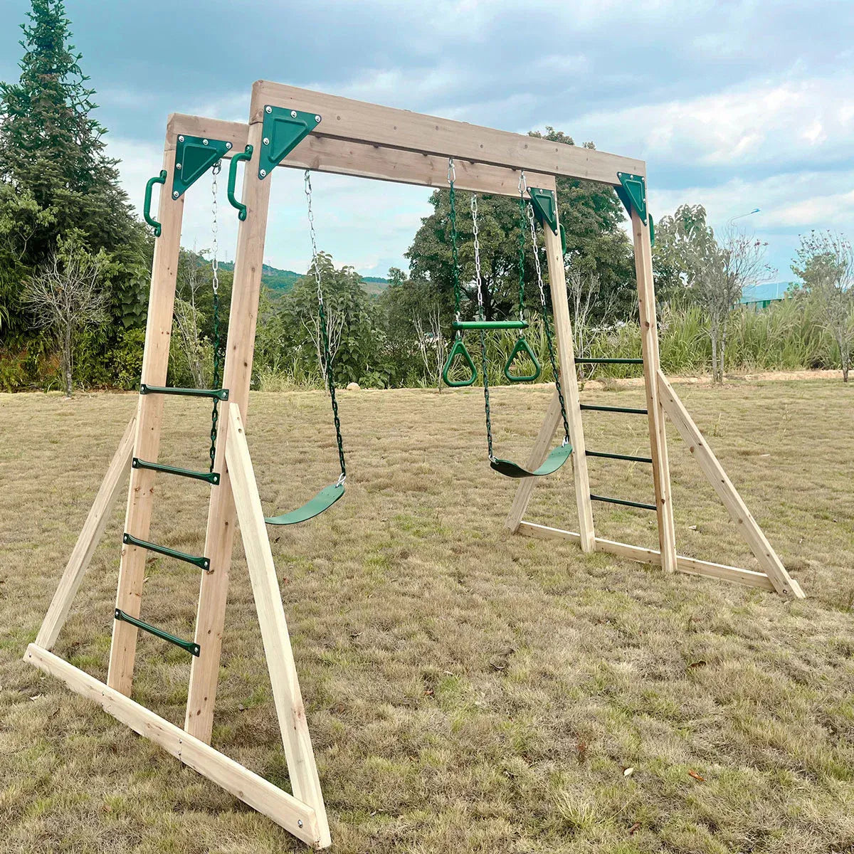 Lifespan Kids Daintree 2-in-1 Monkey Bars & Swing Set Awezingly