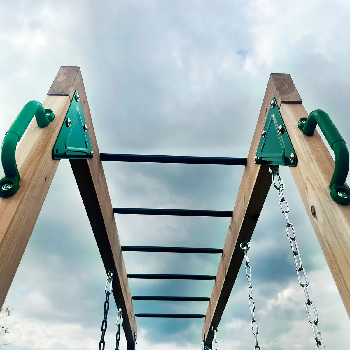 Lifespan Kids Daintree 2-in-1 Monkey Bars & Swing Set Awezingly
