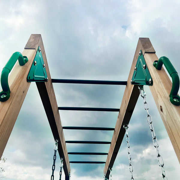 Lifespan Kids Daintree 2-in-1 Monkey Bars & Swing Set Awezingly
